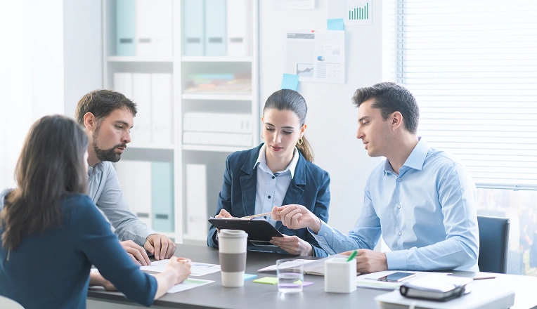 Build-Operate-Transfer (BOT) Model