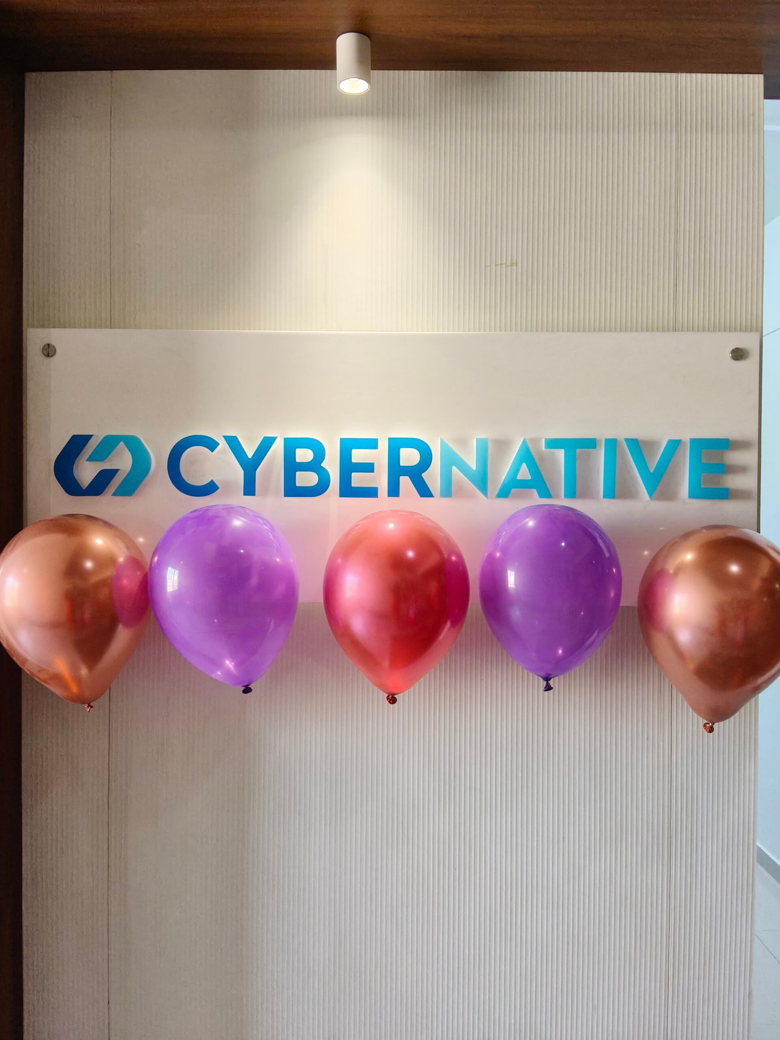 Cybernative photos (41)